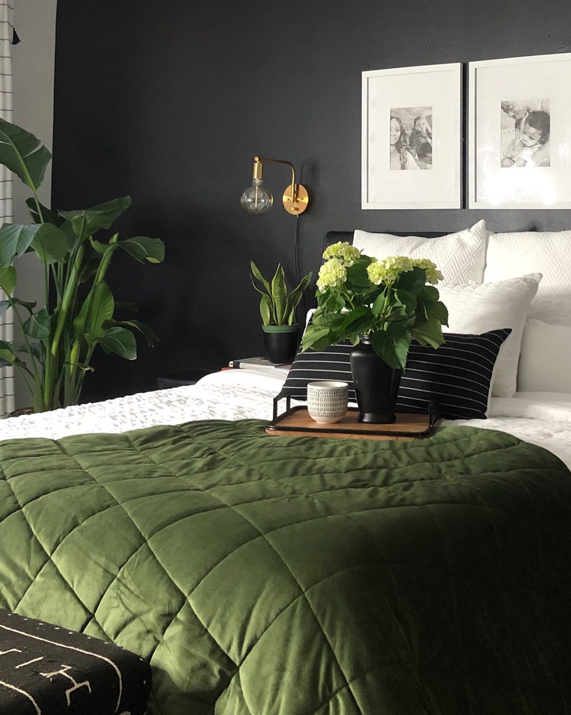 45. a Lush Sanctuary: Marrying Deep Greens with Striking Monochrome