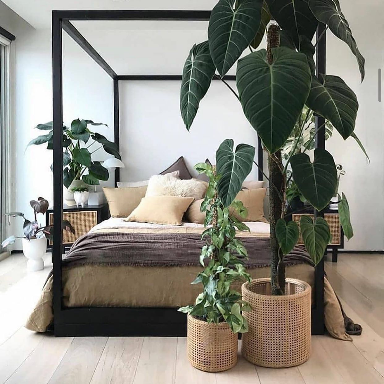 47. Urban Jungle Retreat: Embracing Nature's Touch In Monochrome Elegance