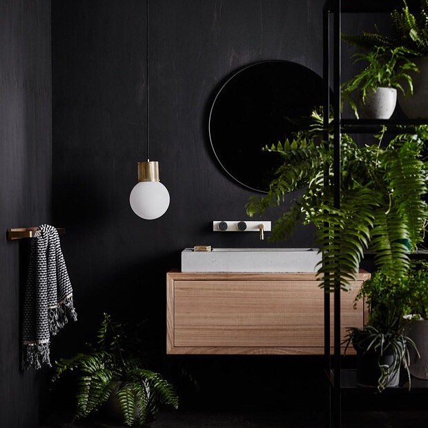 21. Urban Jungle Oasis: Embracing Darkness with Vibrant Greenery