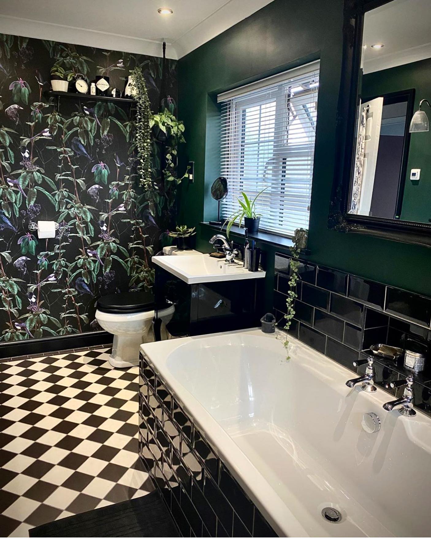 12. Lush Midnight Oasis: a Botanical Escape In Dark Elegance