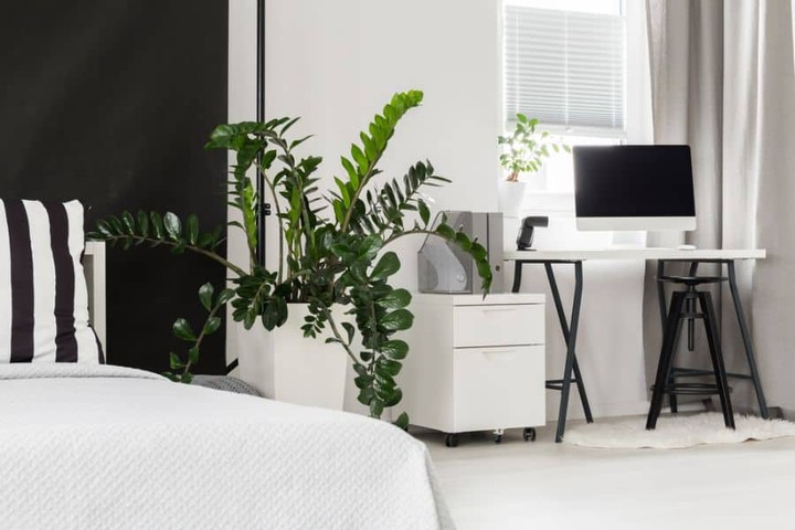 11. Serene Workspaces: Where Minimalism Meets Natural Vibes