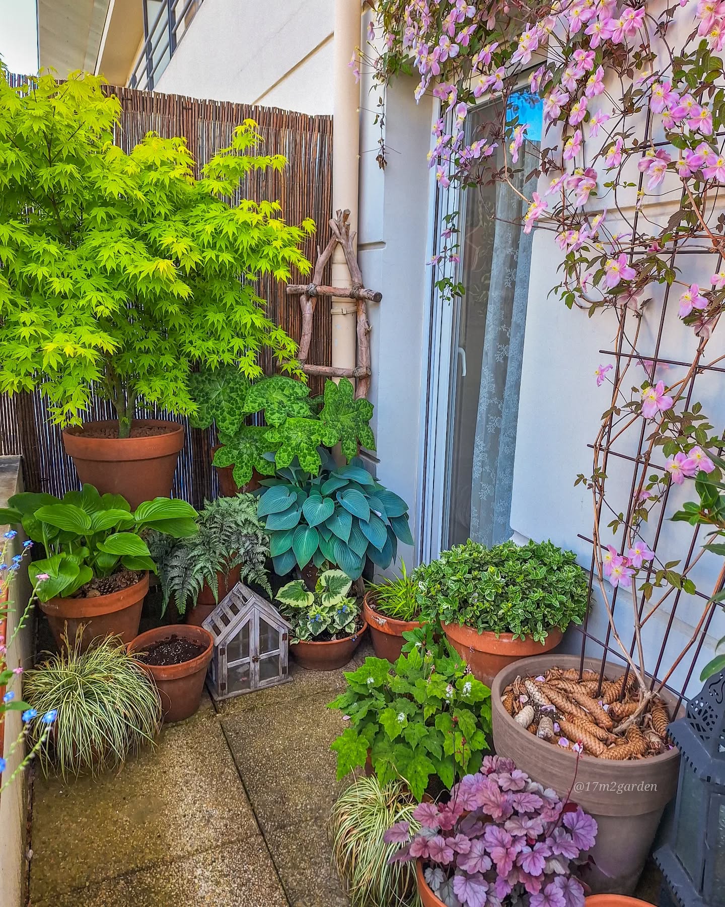 28. a Tapestry Of Greens with a Stone Pathway Mosaic