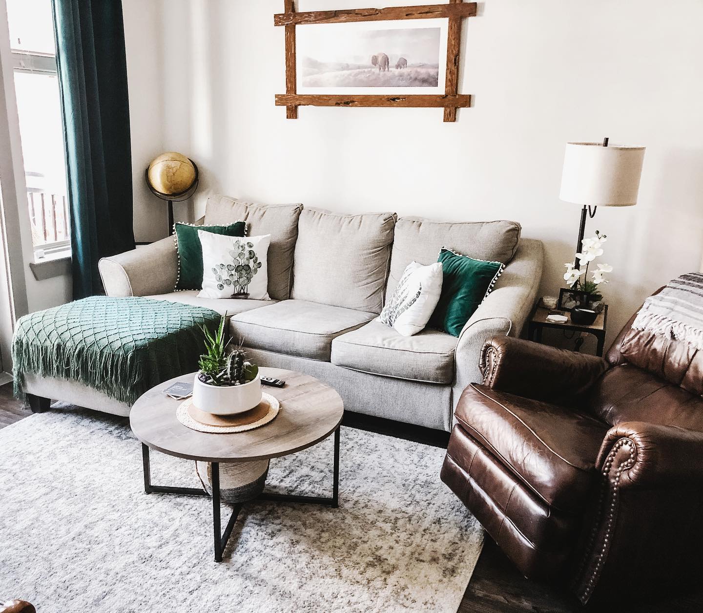 24. the Cactus and Geometric Shelf Fusion Living Room