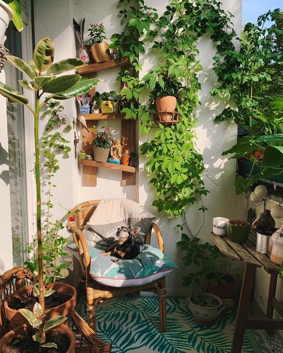 13. the Crimson Canopy: a Rustic Pergola with Wisteria Overhang and Terra-cotta Pots
