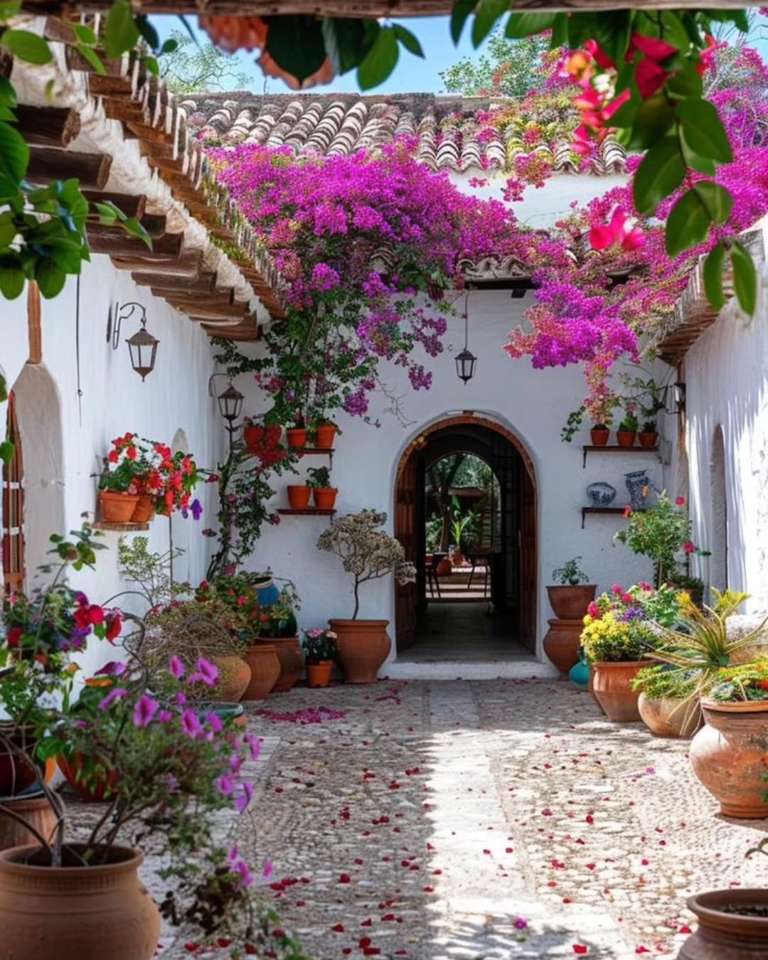 2. Sun-baked Terracotta Tiles Meet Lush Green Oasis: a Mexican Patio Dream