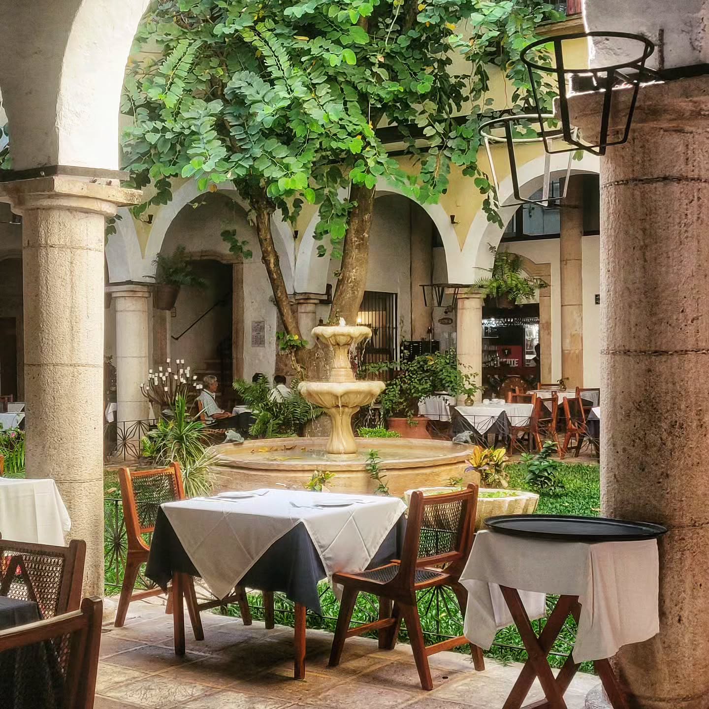 7. Vibrant Bougainvillea Canopy Over Rustic Stone Bench