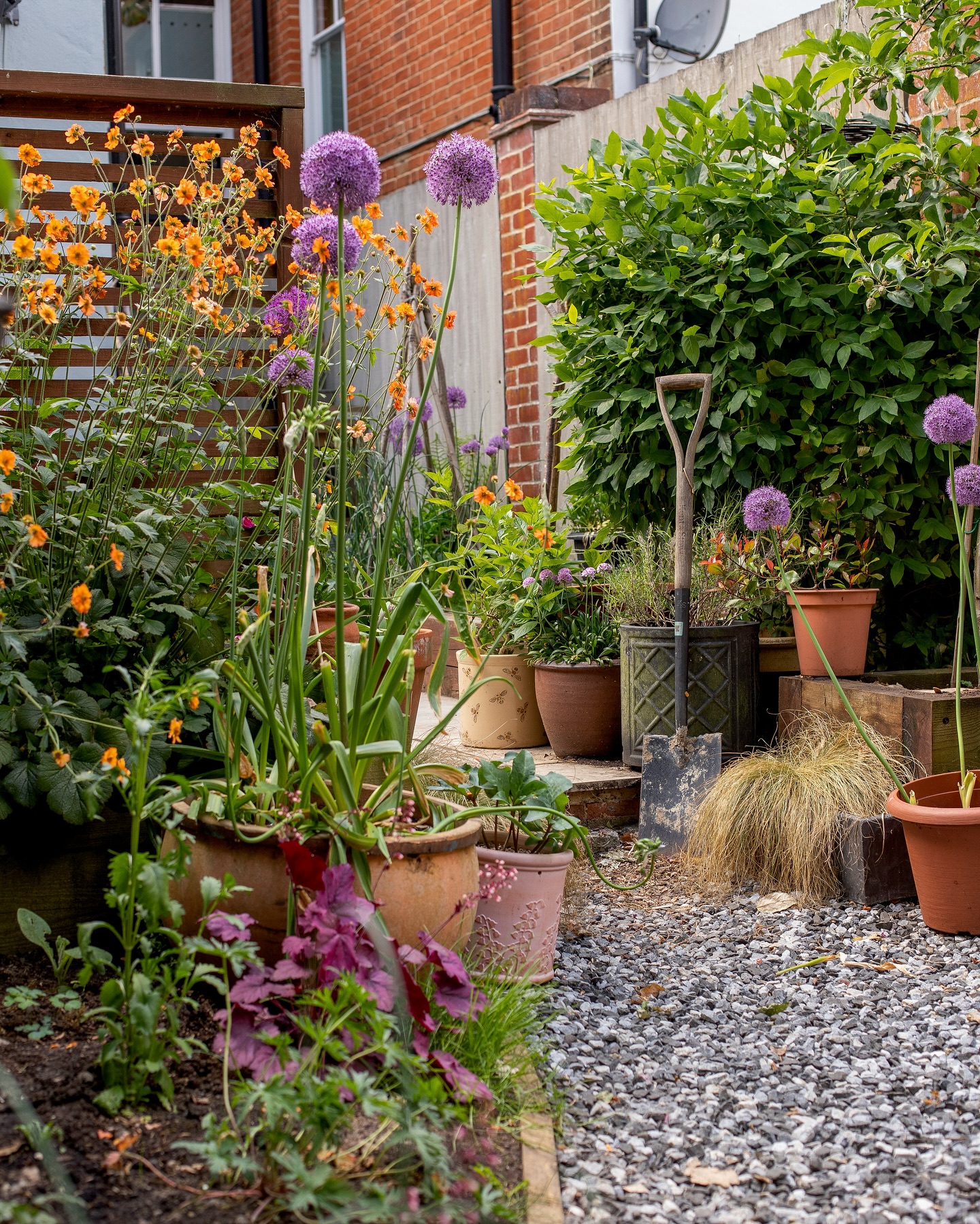 10. a Mosaic Of Green: Interlocking Circular Beds with Lavender Edges