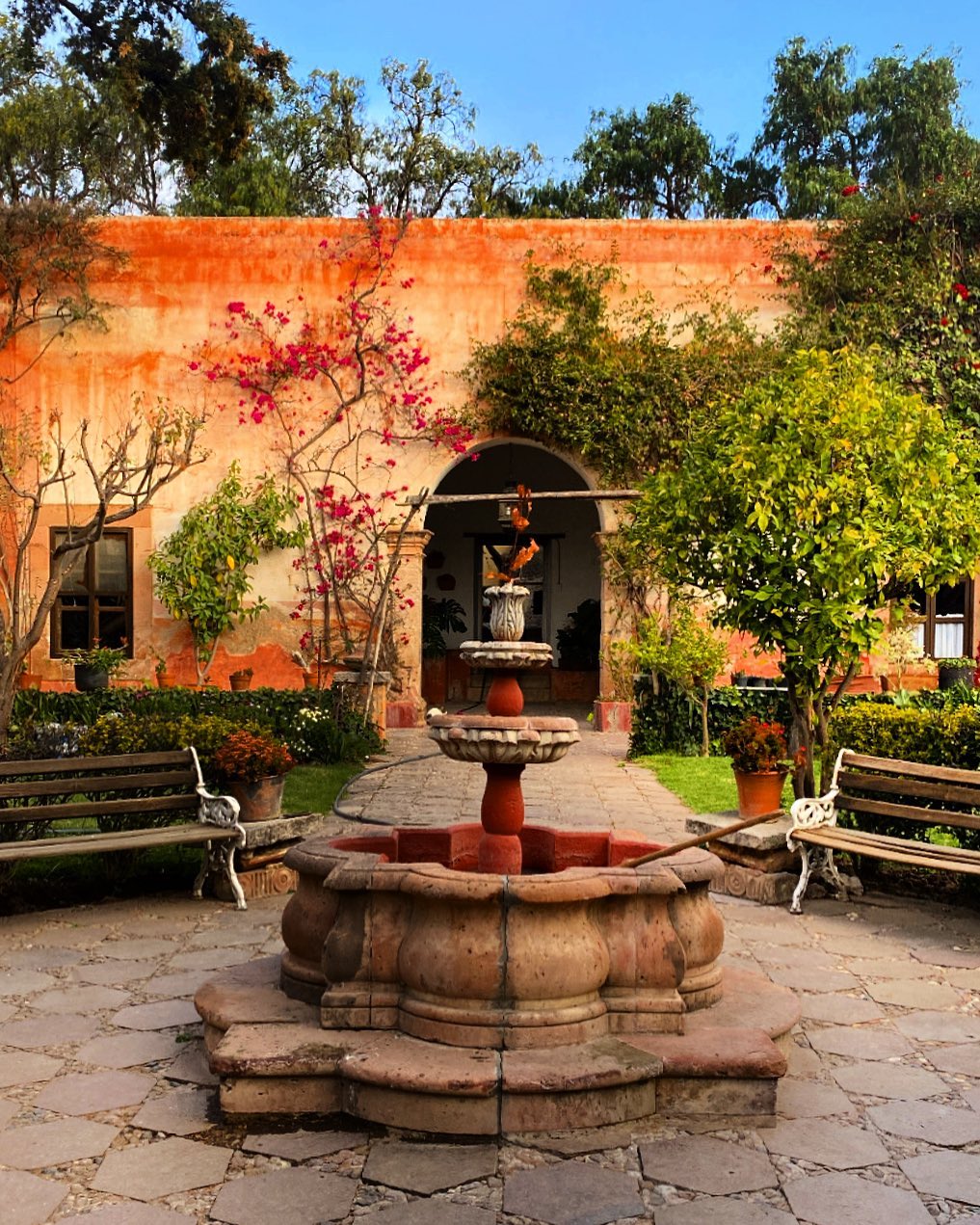 15. the Cactus-framed Terra Cotta Oasis with Bougainvillea Canopy