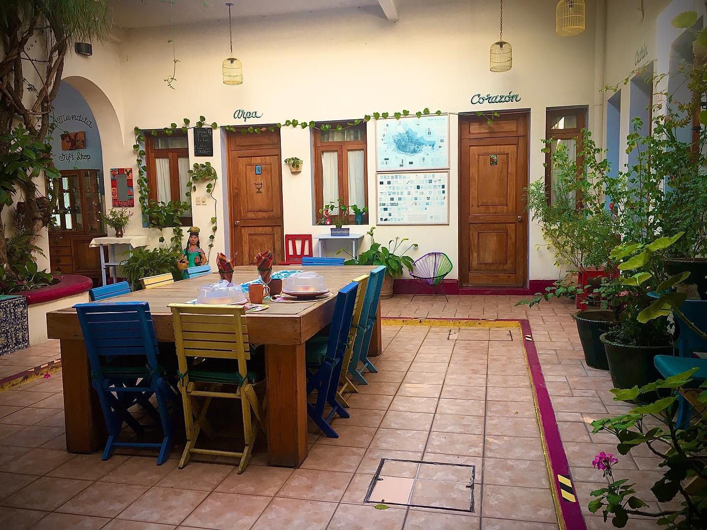3. Sun-kissed Terracotta Tiles Meet Vibrant Bougainvillea Canopy
