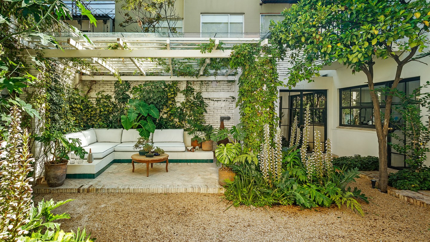 6. the Cactus Trio and Terracotta Tiled Courtyard with Sunlit Adobe Wall