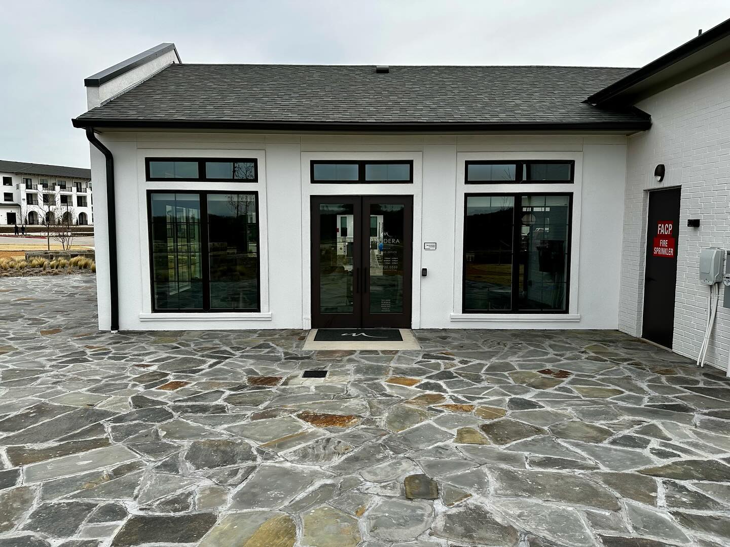 4. a Mosaic Of Nature: Ferns and Moss Framing a Slate Patio Haven