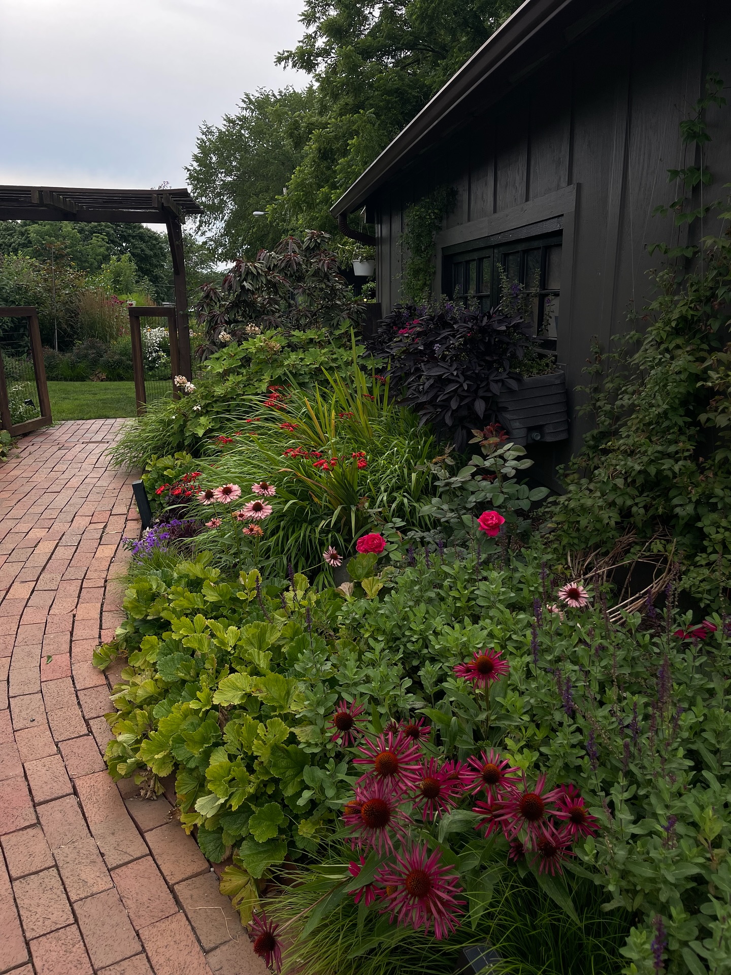 9. the Serpentine Pathway Amidst Crimson Begonias and Blue Slate
