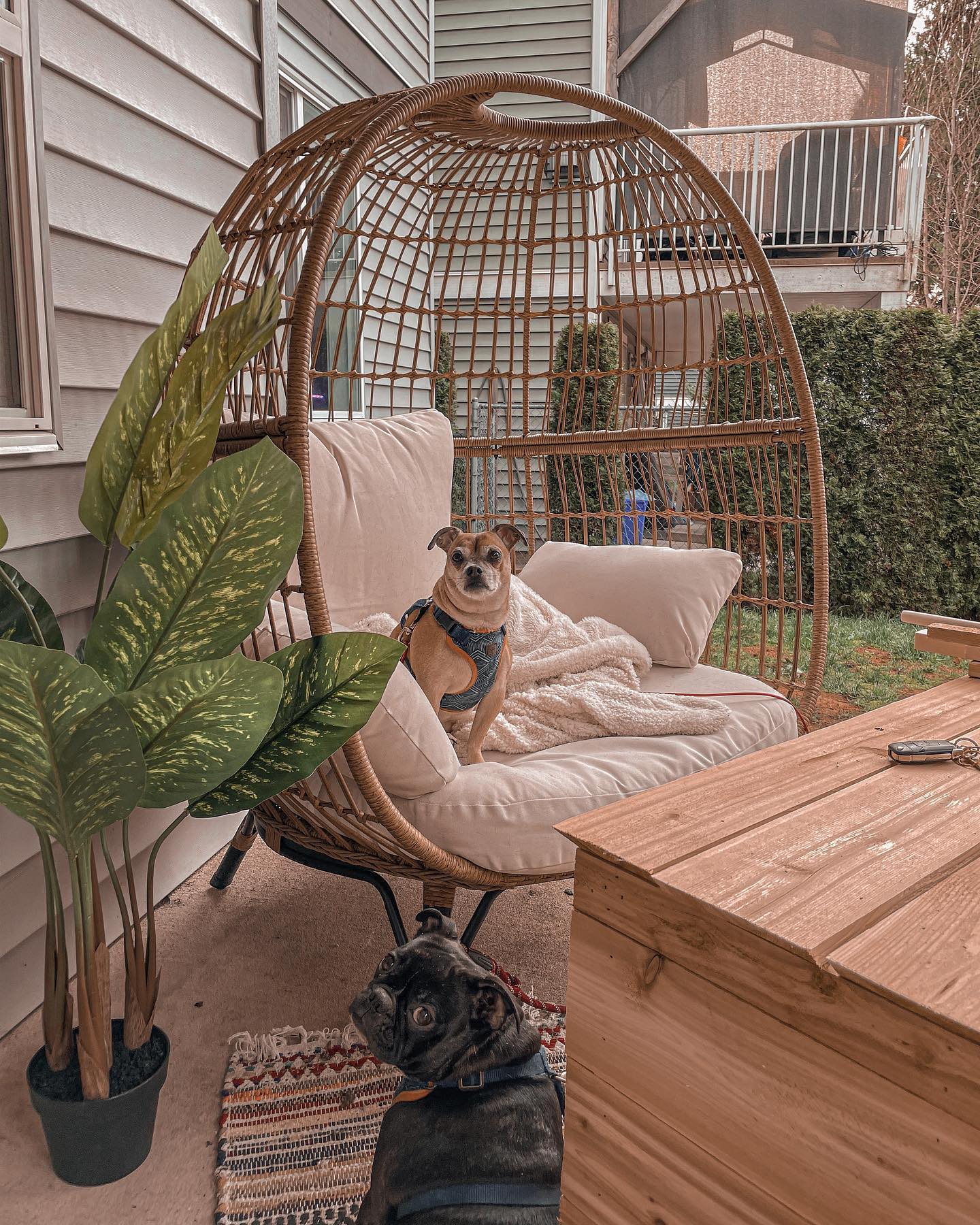 9. a Mosaic Of Terracotta Tiles and Lush Foliage Surrounding a Weathered Wooden Bench