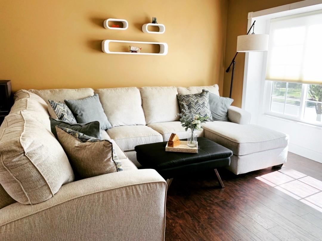 14. the Crimson Velvet Sofa with Geometric Wall Art and Cactus Accent