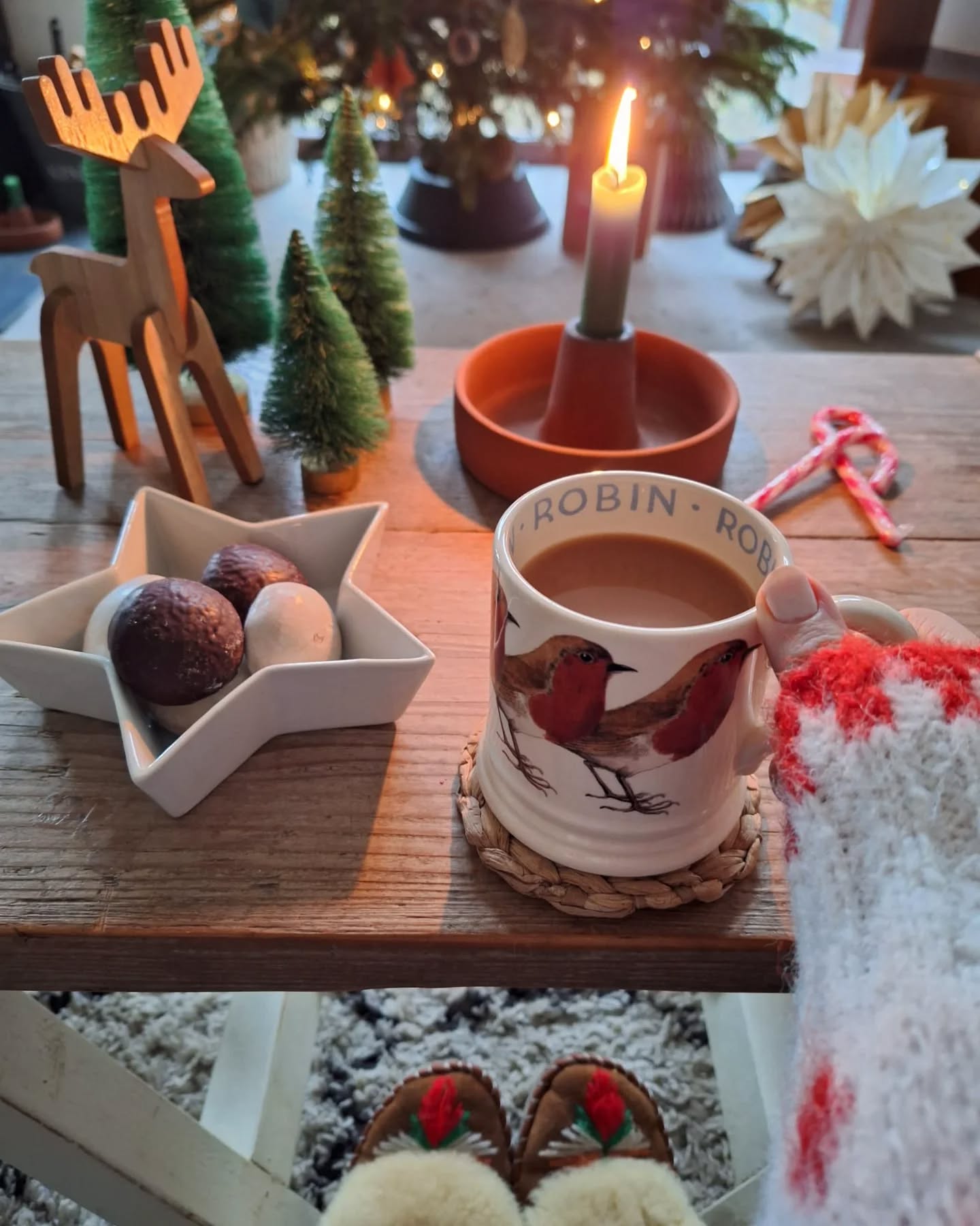 22. a Reindeer's Sleigh Ride Over Pine Cones and Pineapples