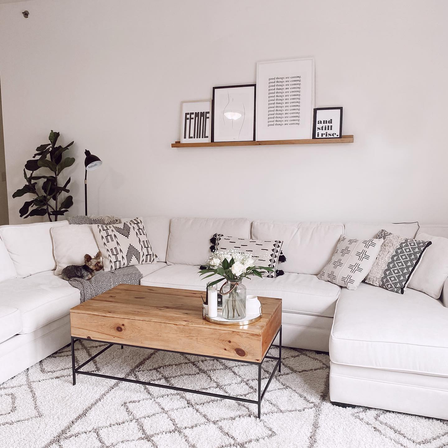 47. the Pecan Brown Leather Sofa with Velvet Throw Pillows and a Vintage Brass Lamp