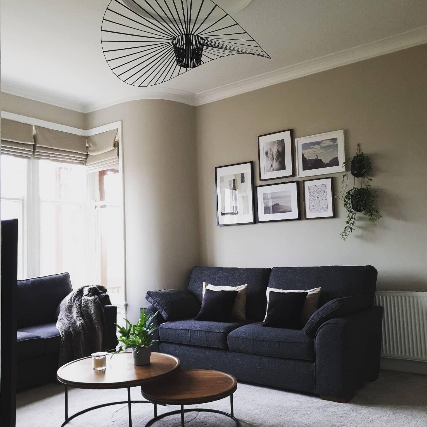 46. a Woven Basket and Potted Plant Dance on a Minimalist Coffee Table