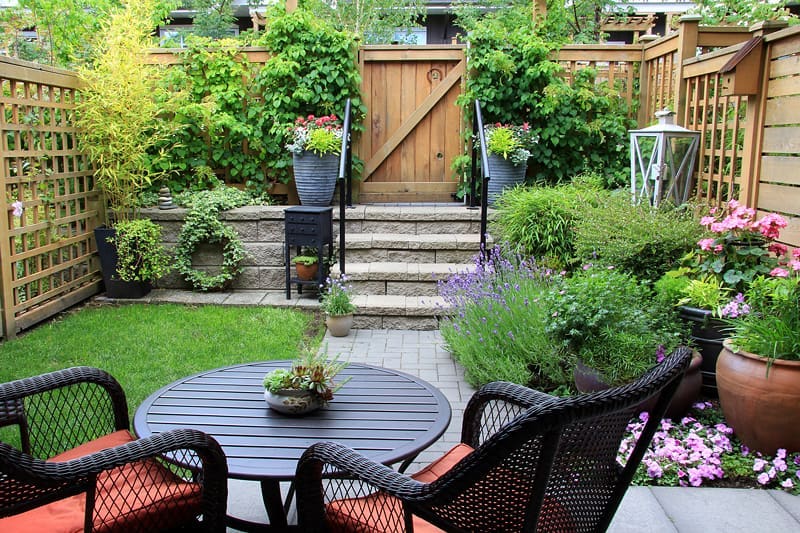 5. Vibrant Blue Agapanthus Framing a Rustic Stone Bench