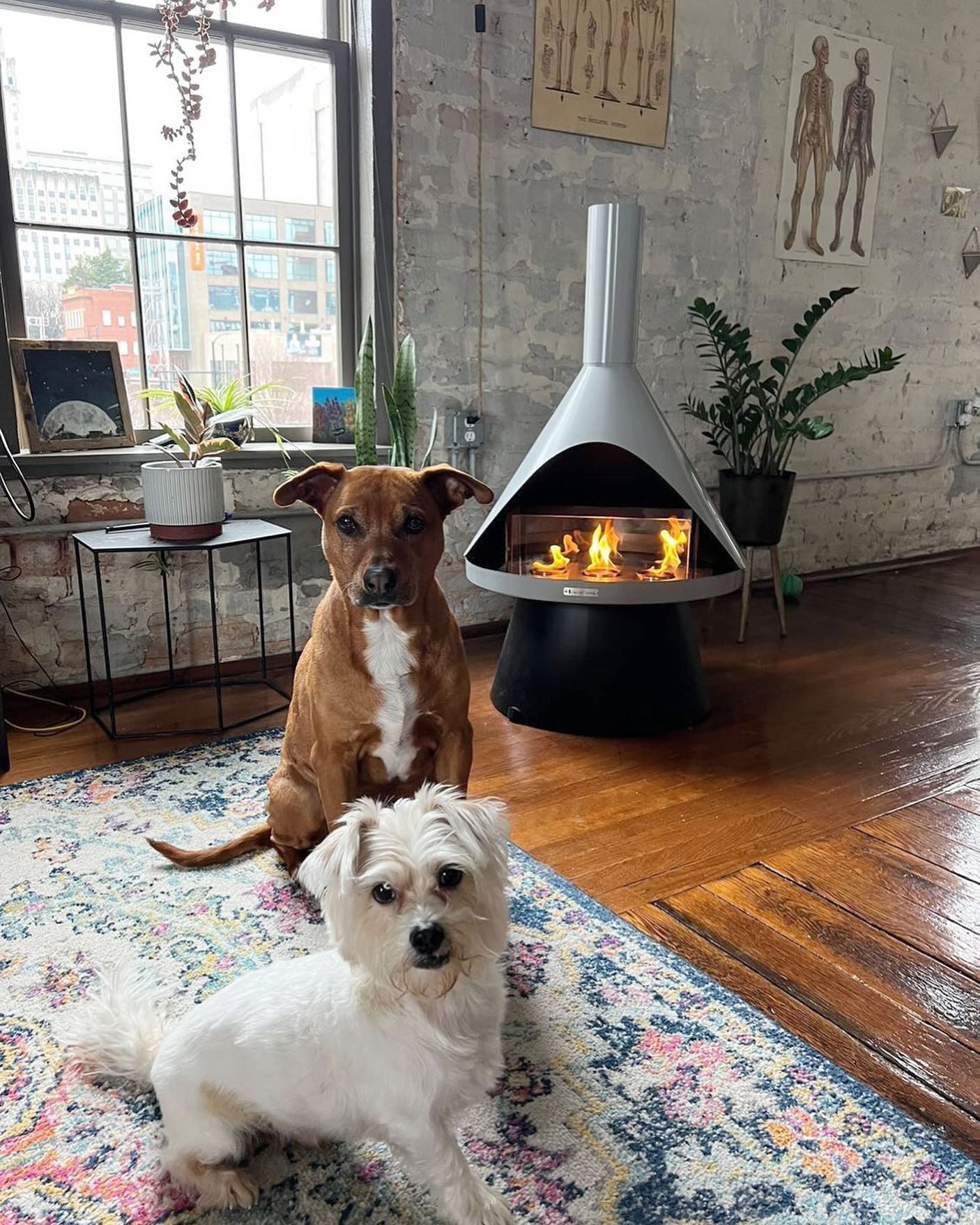 9. Mid-century Minimalist Fireplace with Floating Mantel and Geometric Ember Bed