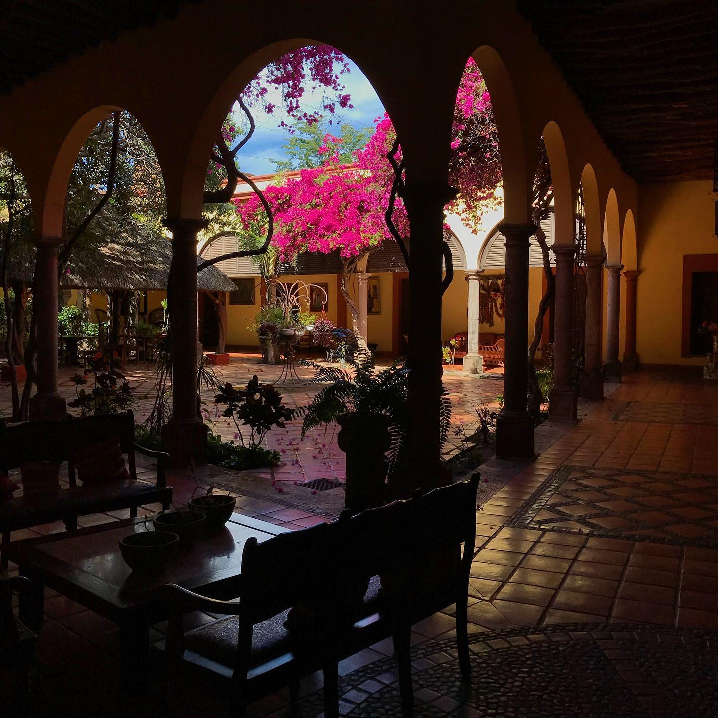 18. a Mosaic Of Terracotta and Cacti: the Sunlit Patio Retreat